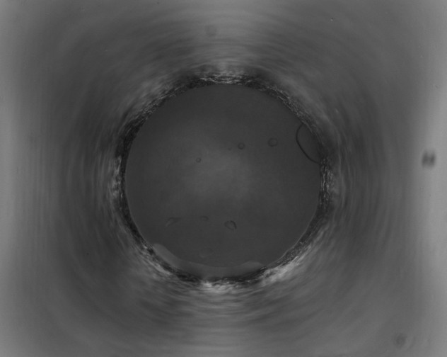 X0000102230818200807251233