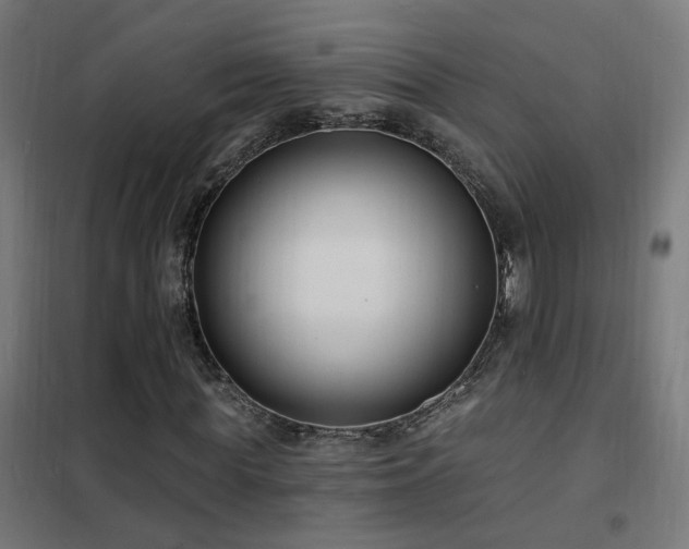 X0000102230819200807251233