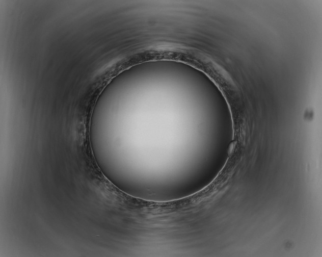 X0000102230821200807251233