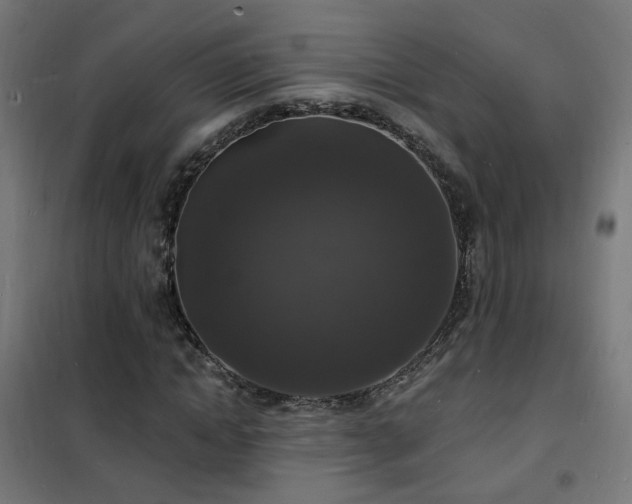 X0000102230822200807251233