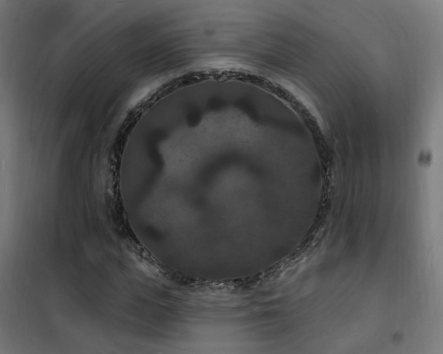 X0000102230823200807251233