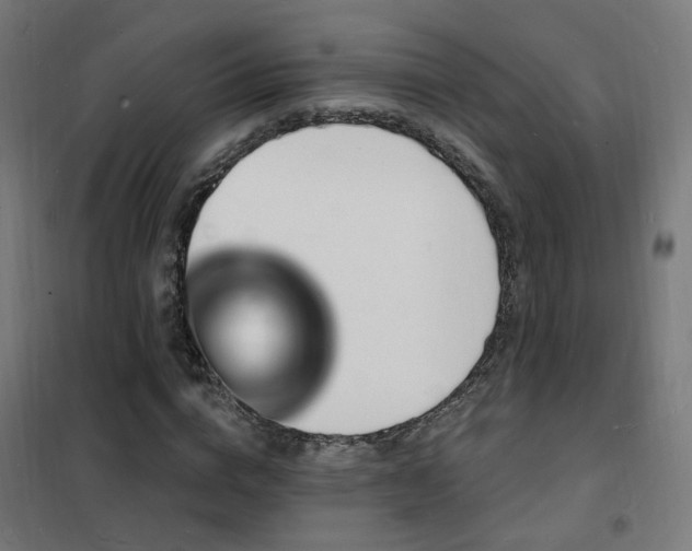 X0000102230824200807251233