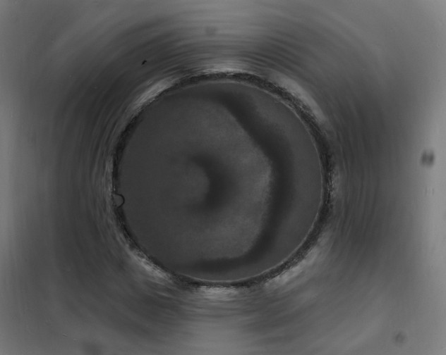 X0000102230825200807251233