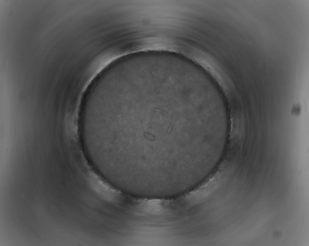 X0000102230828200807251233
