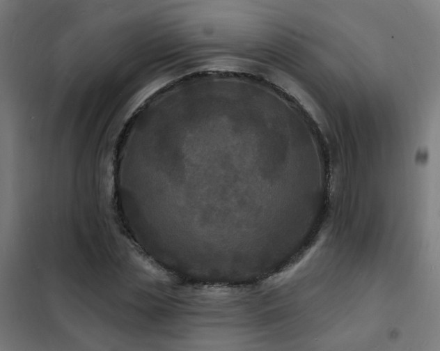 X0000102230829200807251233