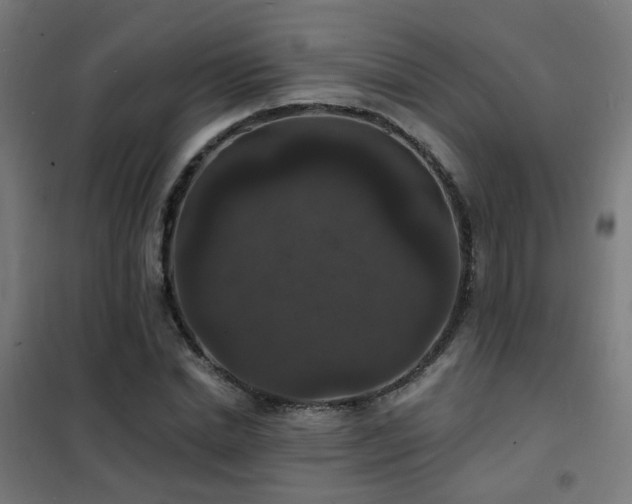 X0000102230830200807251233