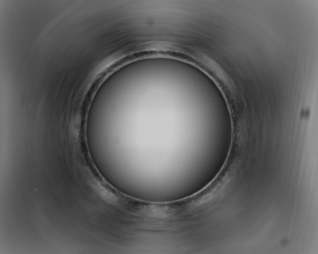X0000102230831200807251233