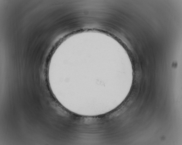 X0000102230832200807251233