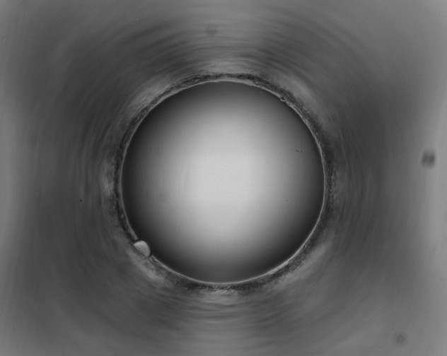X0000102230833200807251233