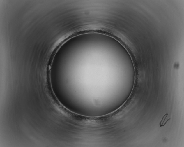 X0000102230834200807251233