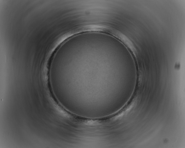 X0000102230835200807251233