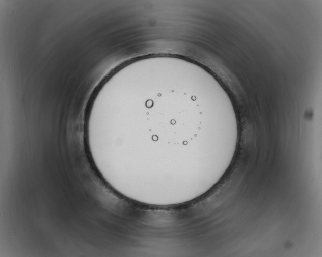 X0000102230836200807251233