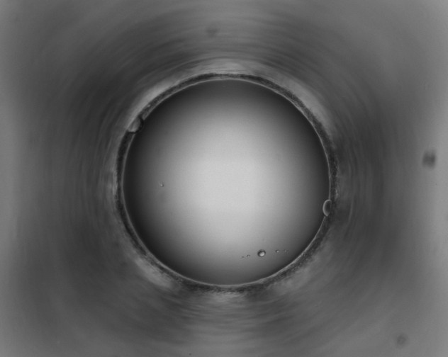 X0000102230837200807251233