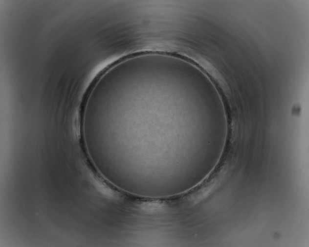 X0000102230838200807251233