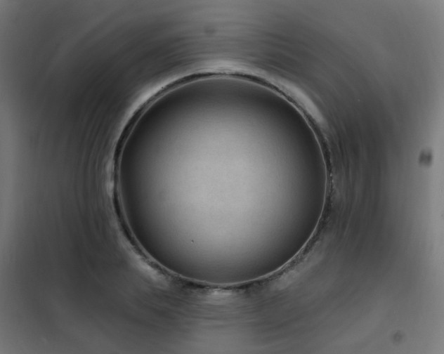 X0000102230839200807251233