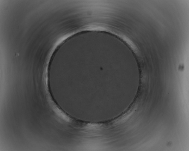 X0000102230840200807251233