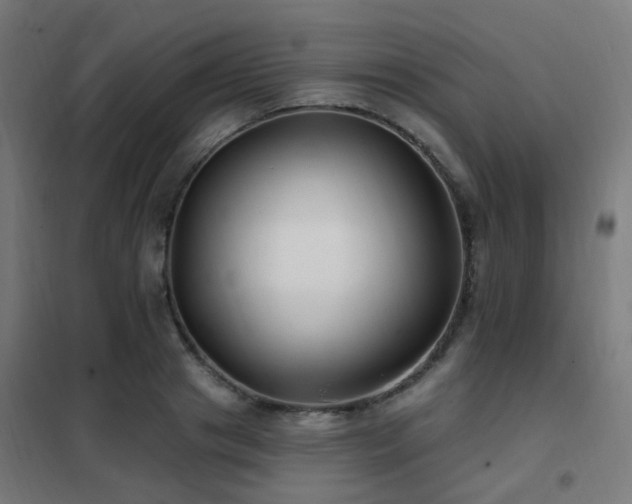 X0000102230841200807251233