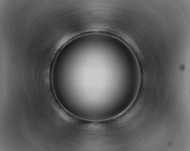X0000102230842200807251233