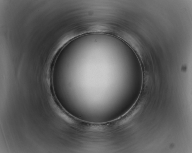X0000102230843200807251233