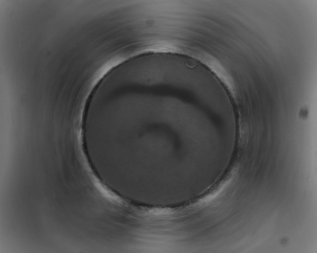 X0000102230845200807251233
