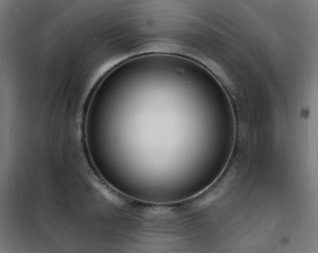 X0000102230846200807251233