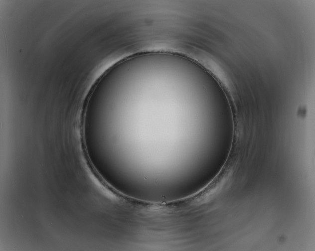 X0000102230847200807251233