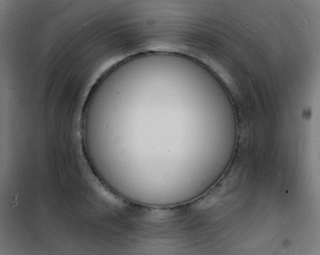 X0000102230848200807251233