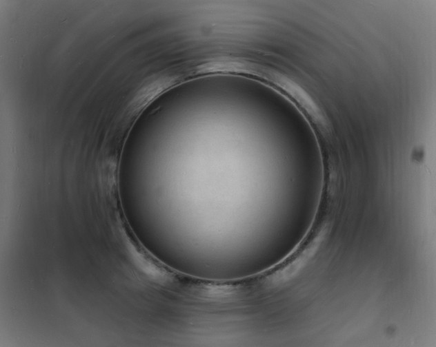 X0000102230849200807251233