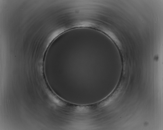X0000102230850200807251233