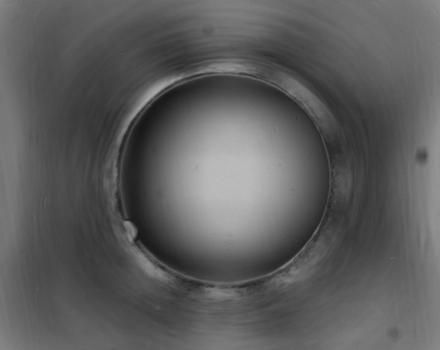 X0000102230852200807251233