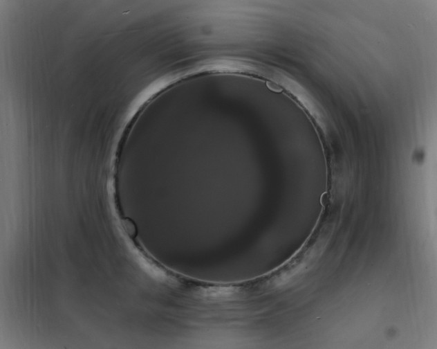 X0000102230853200807251233