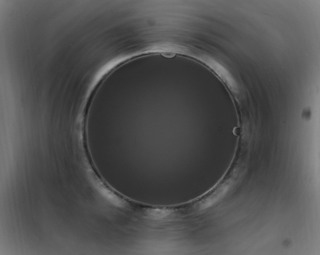 X0000102230854200807251233