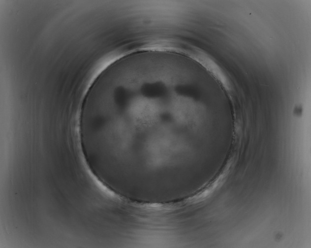 X0000102230855200807251233