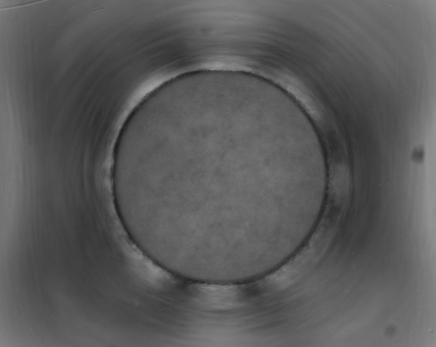 X0000102230856200807251233