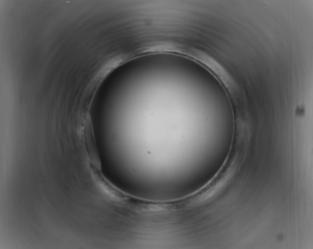 X0000102230857200807251233
