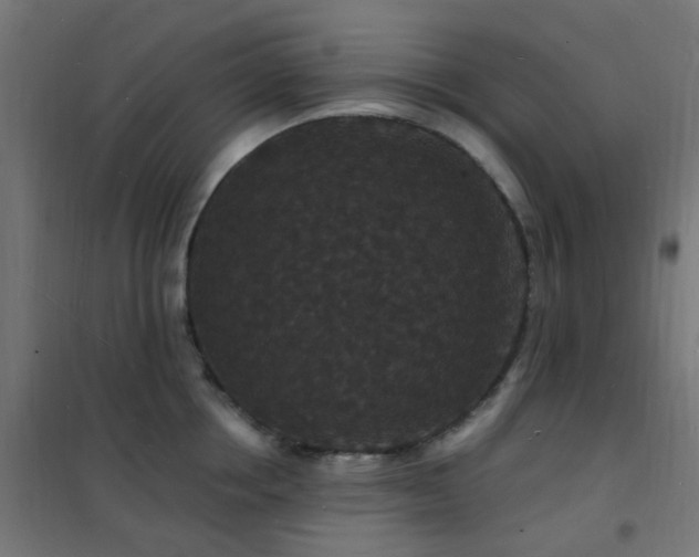 X0000102230858200807251233
