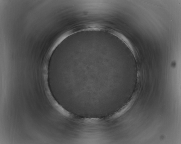 X0000102230859200807251233