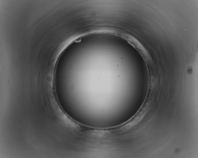 X0000102230860200807251233