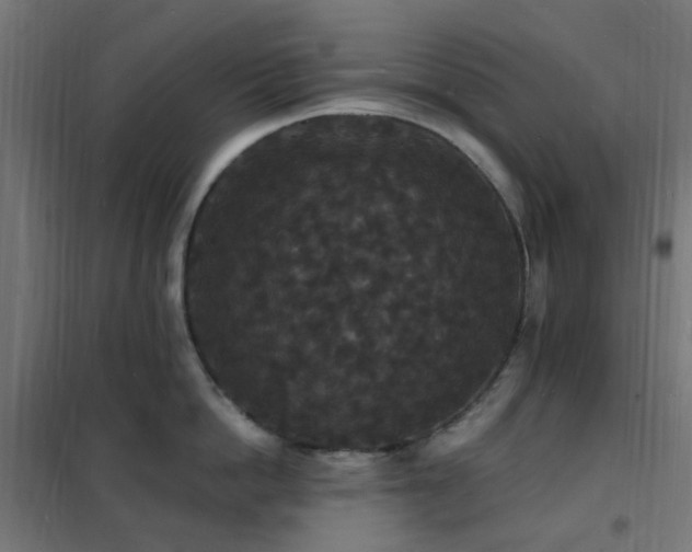 X0000102230862200807251233