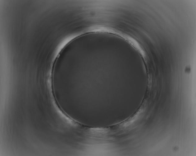 X0000102230863200807251233