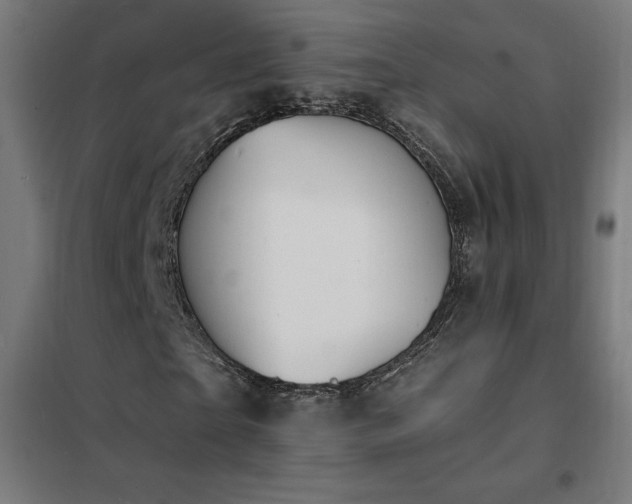X0000102230865200807251233