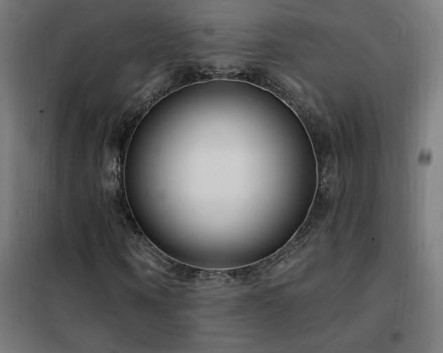 X0000102230866200807251233