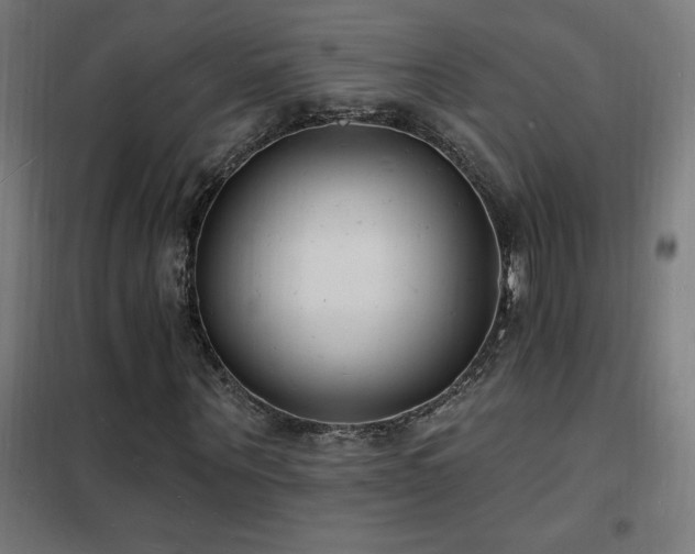 X0000102230867200807251233
