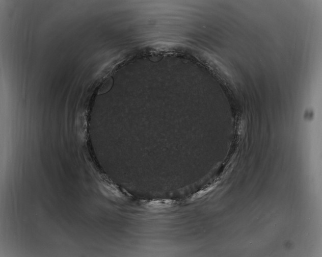 X0000102230868200807251233