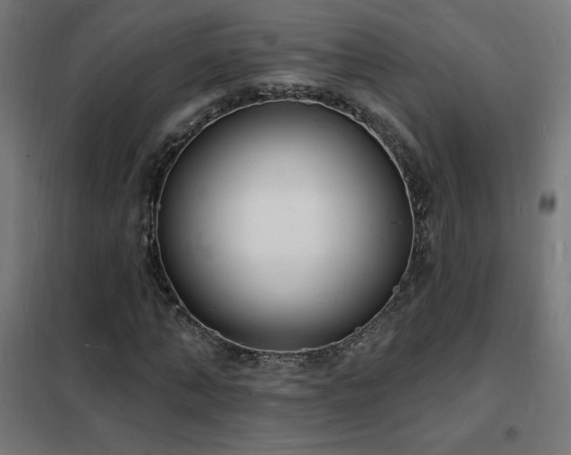 X0000102230870200807251233
