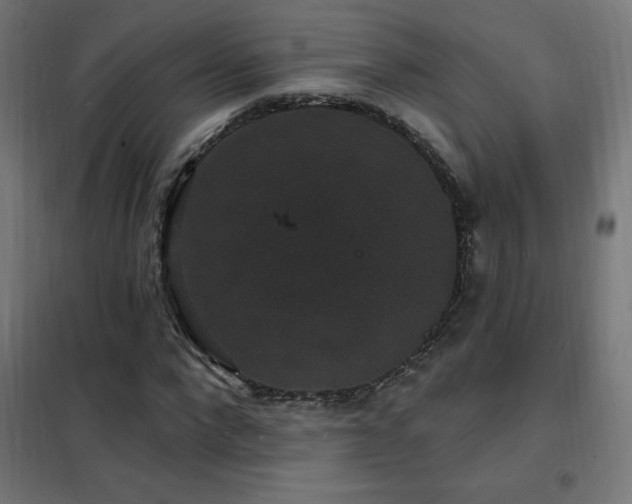 X0000102230872200807251233