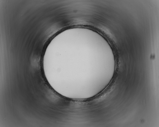 X0000102230873200807251233