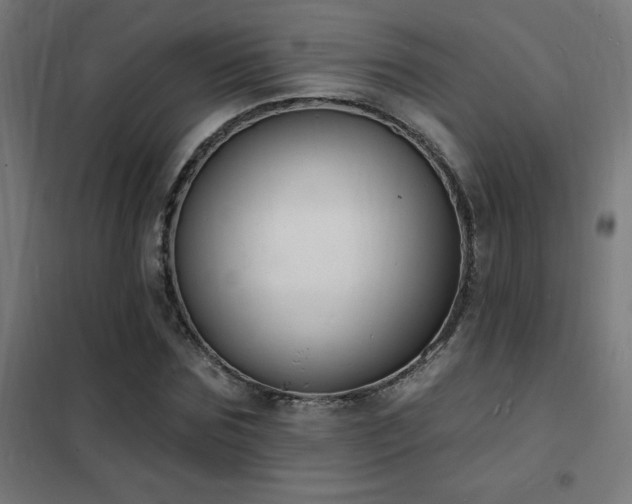 X0000102230875200807251233