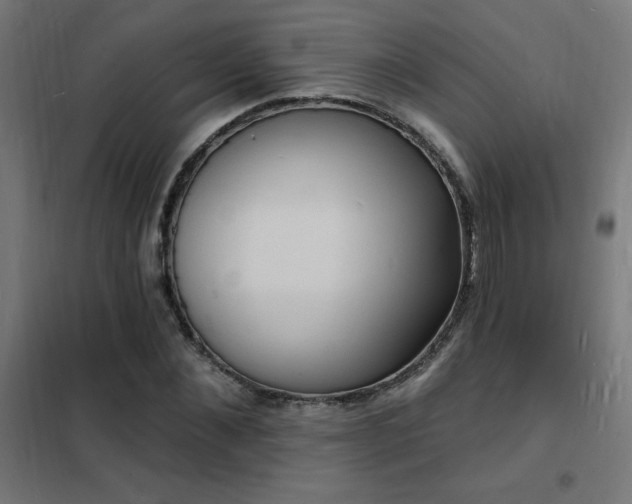 X0000102230876200807251233