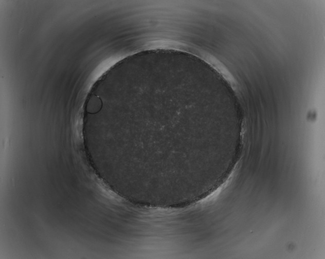 X0000102230877200807251233